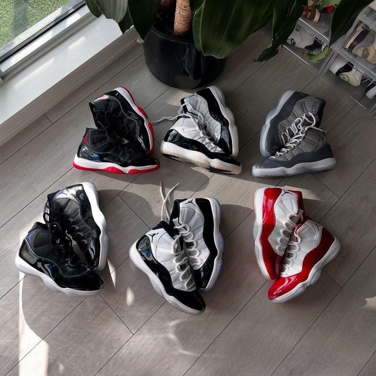 JORDAN 11
