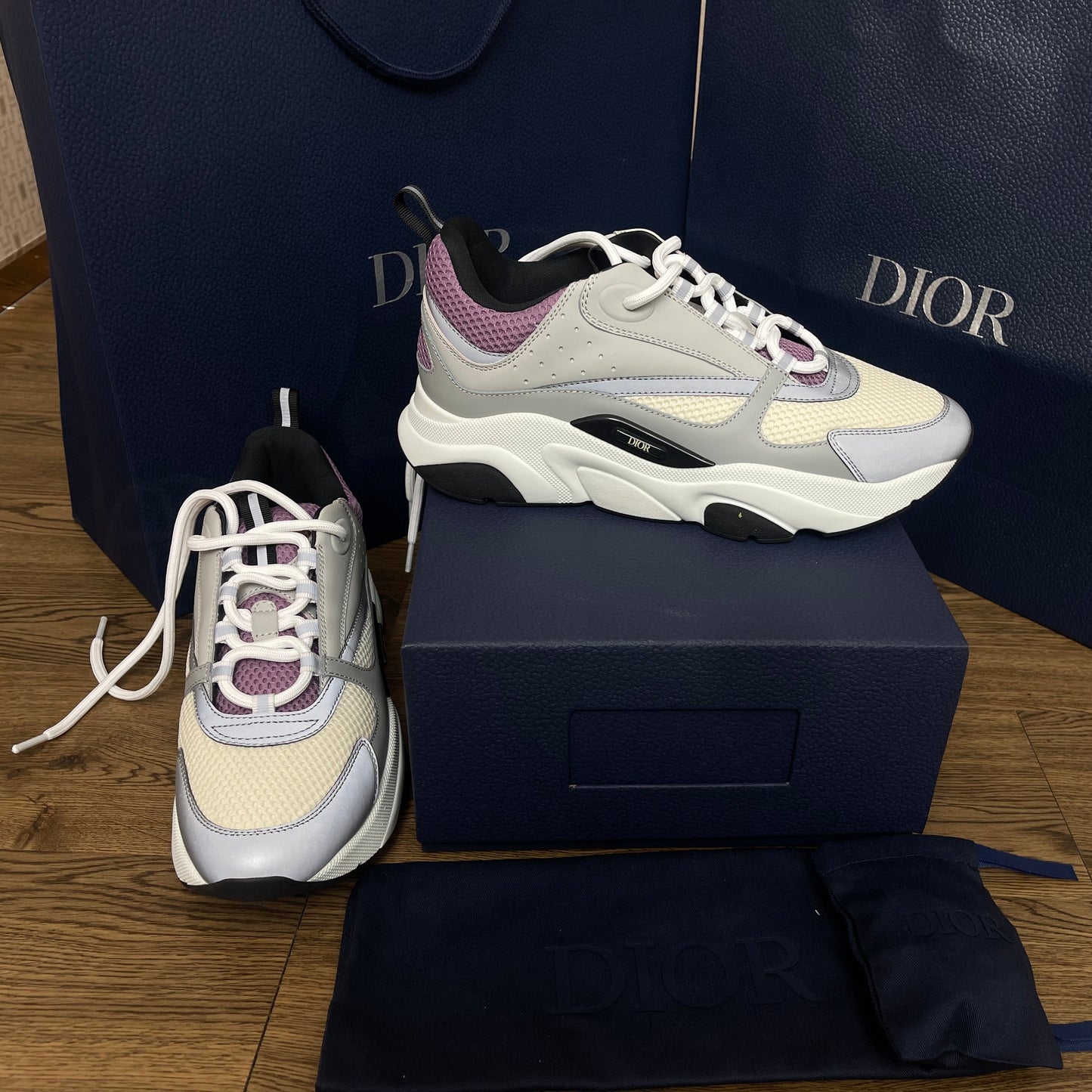DIOR B22