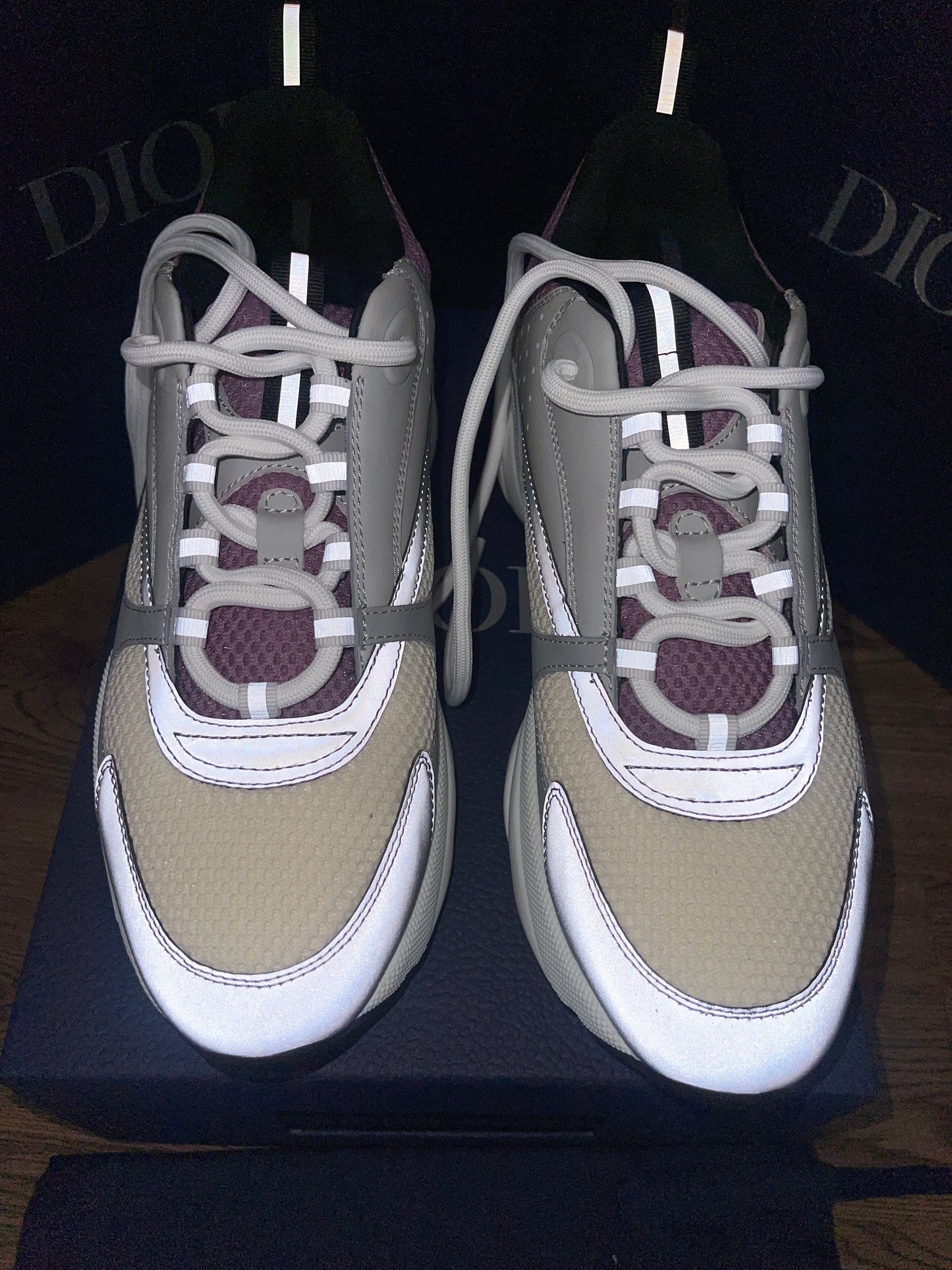 DIOR B22