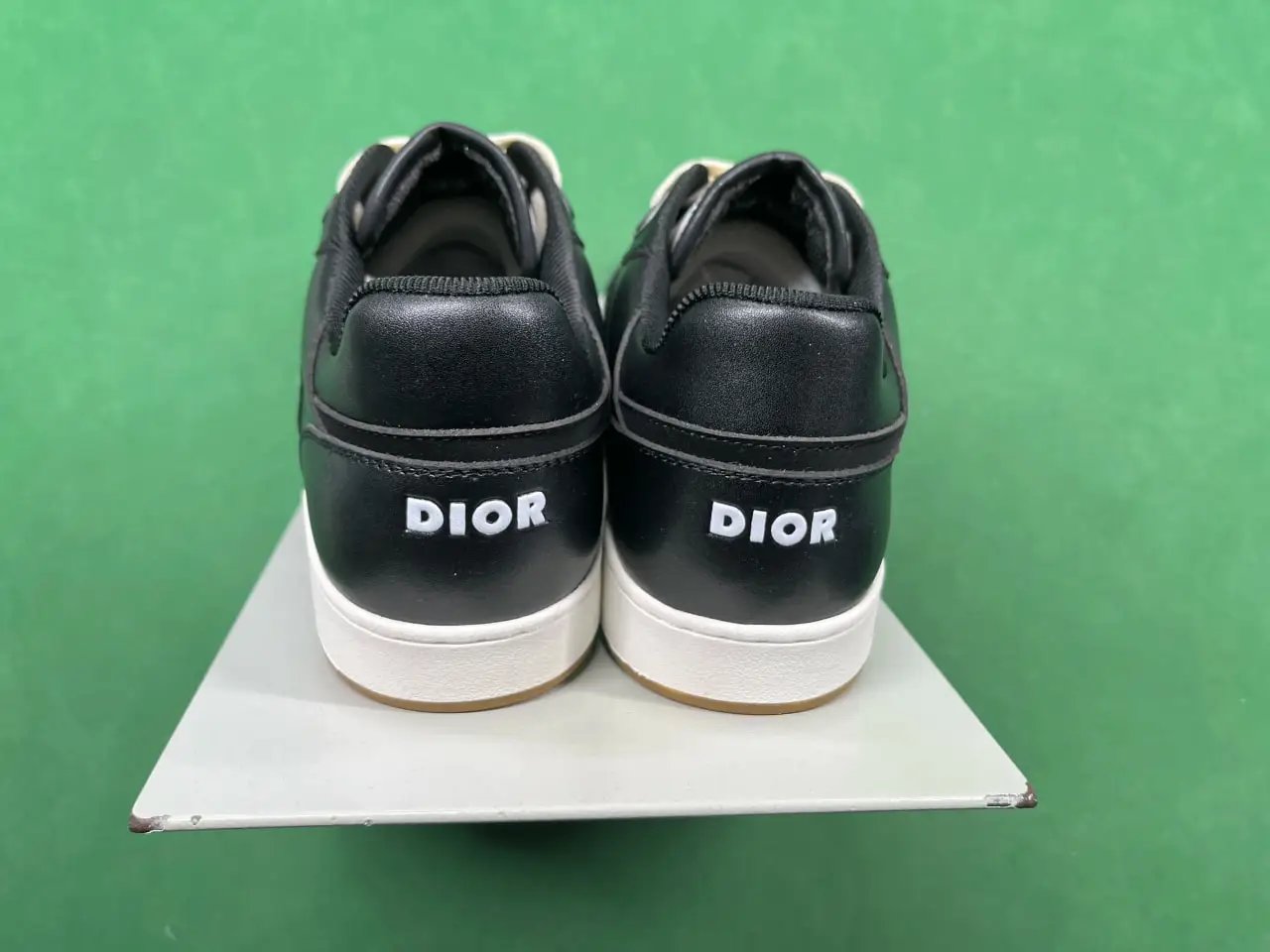 DIOR B30